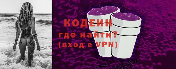 мдпв Бородино
