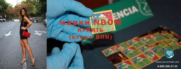мдпв Бородино