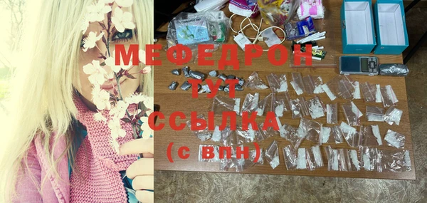 мдпв Бородино