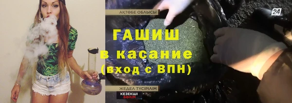 мдпв Бородино