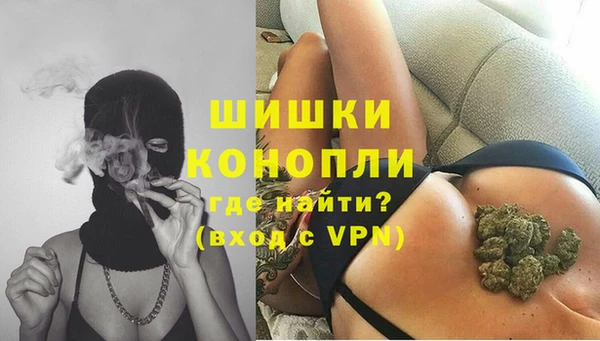 мдпв Бородино