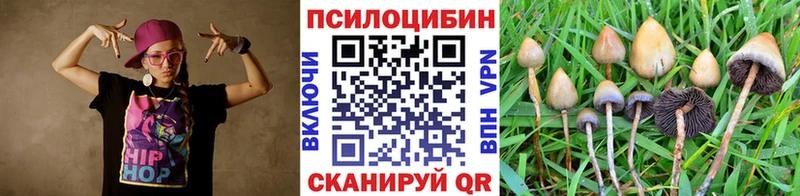 Псилоцибиновые грибы MAGIC MUSHROOMS Гудермес