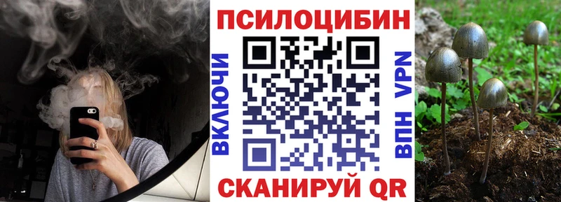 KRAKEN зеркало  Гудермес  Псилоцибиновые грибы мухоморы 