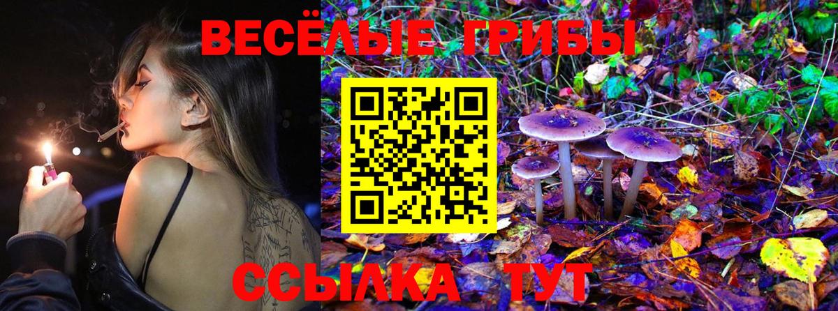 Псилоцибиновые грибы Magic Shrooms Гудермес