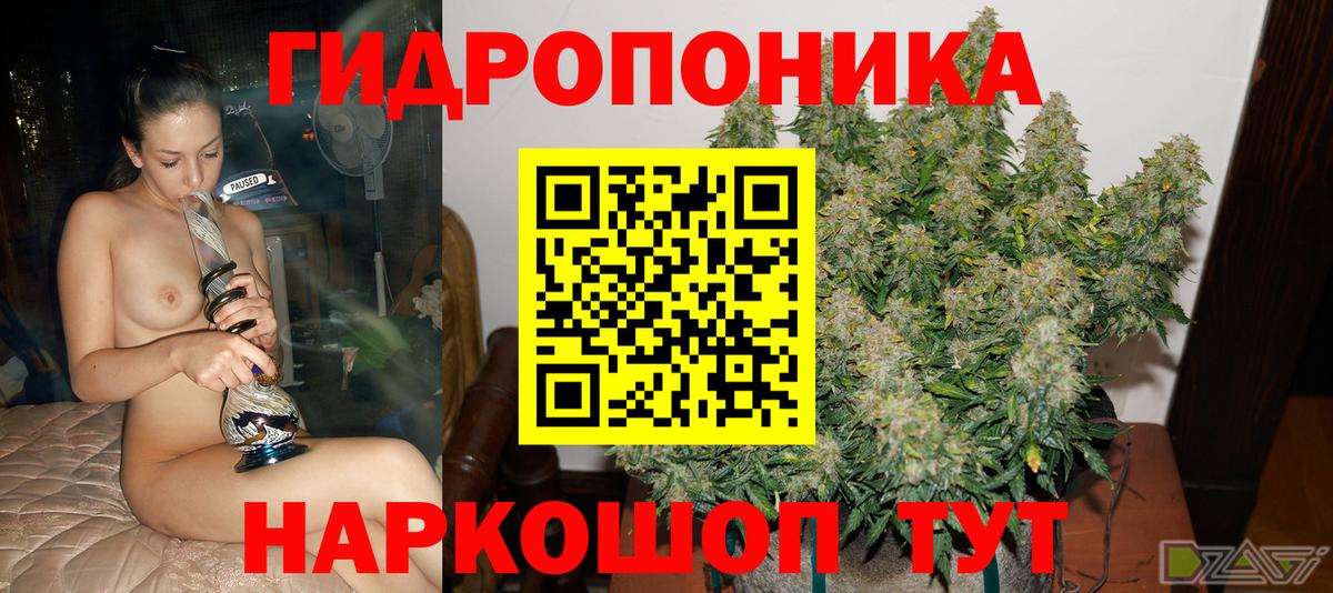 Шишки марихуана планчик Гудермес